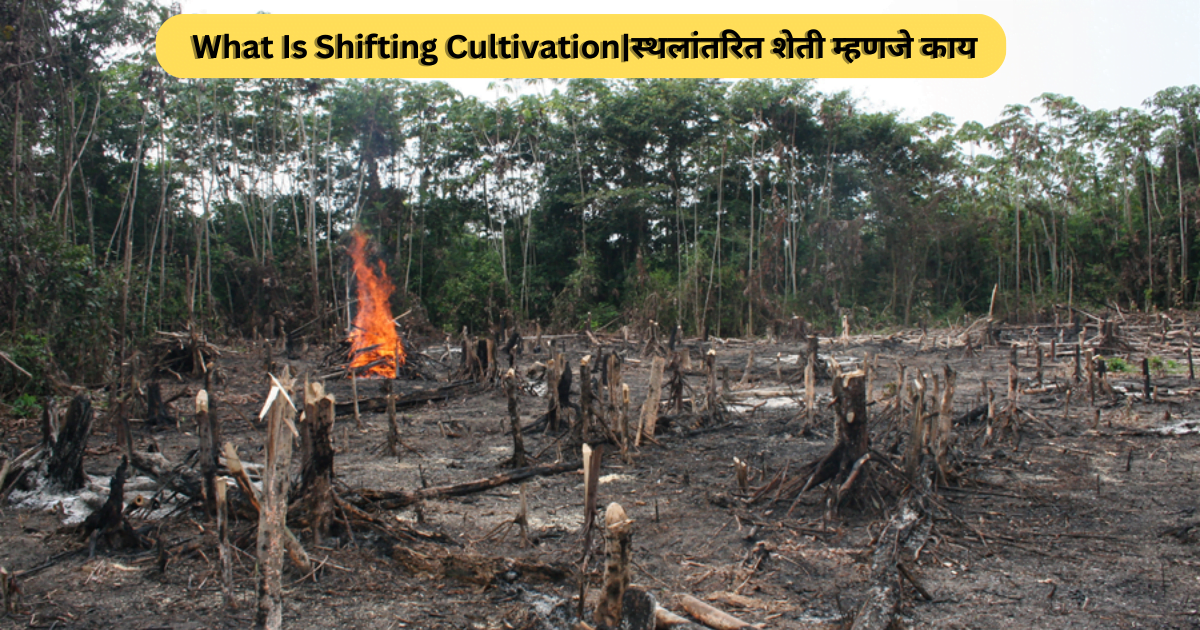 What Is Shifting Cultivation|स्थलांतरित शेती म्हणजे काय 2024