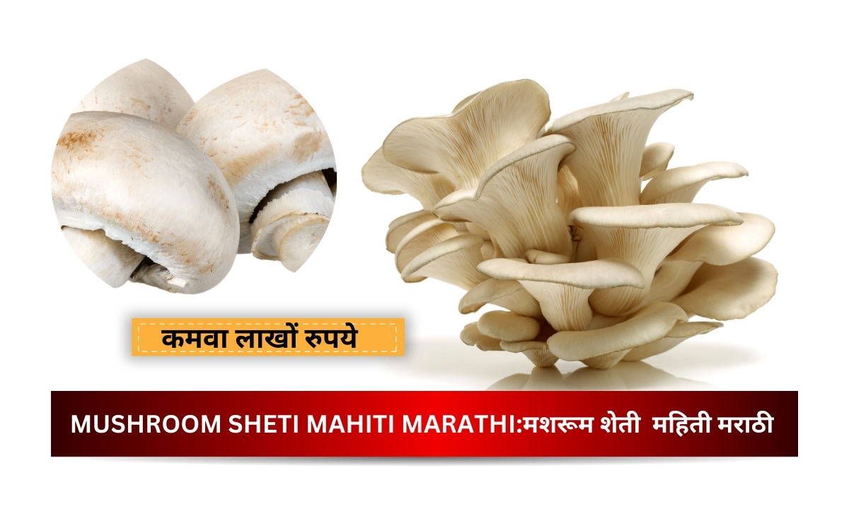 MUSHROOM SHETI MAHITI MARATHI