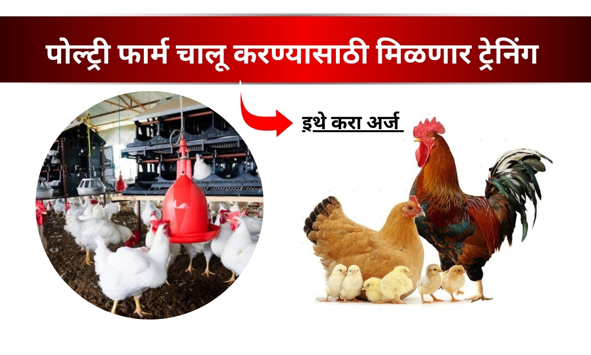 POULTRY FARMING